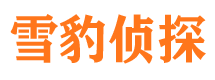 炎陵外遇调查取证